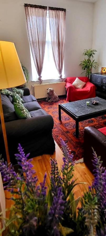 Bright Studio Close To Zaventem Airport Брюссель Екстер'єр фото